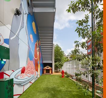 The paw park